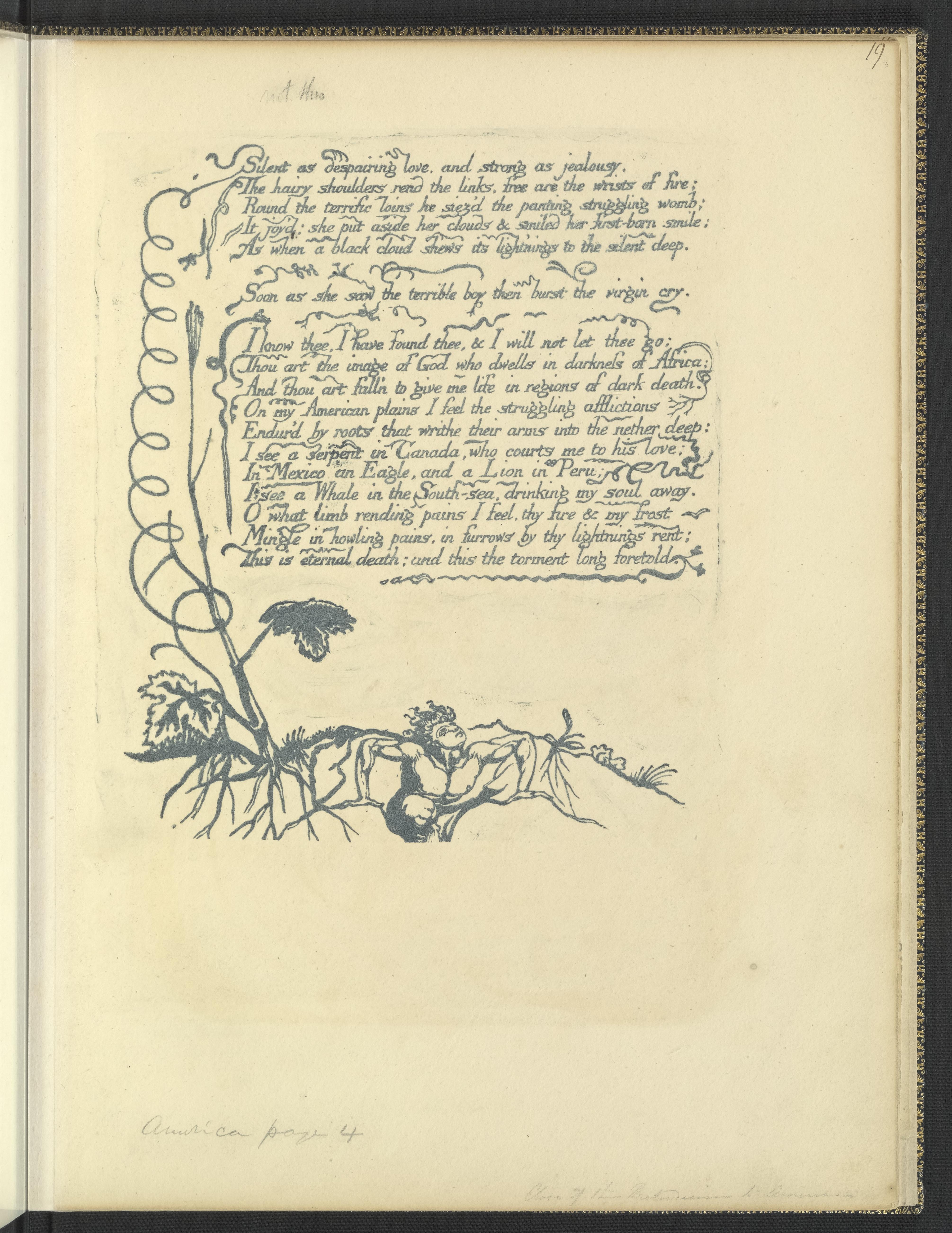 Plate 14 cover