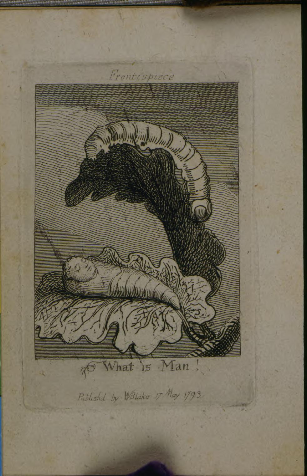 Gates Of Paradise cover