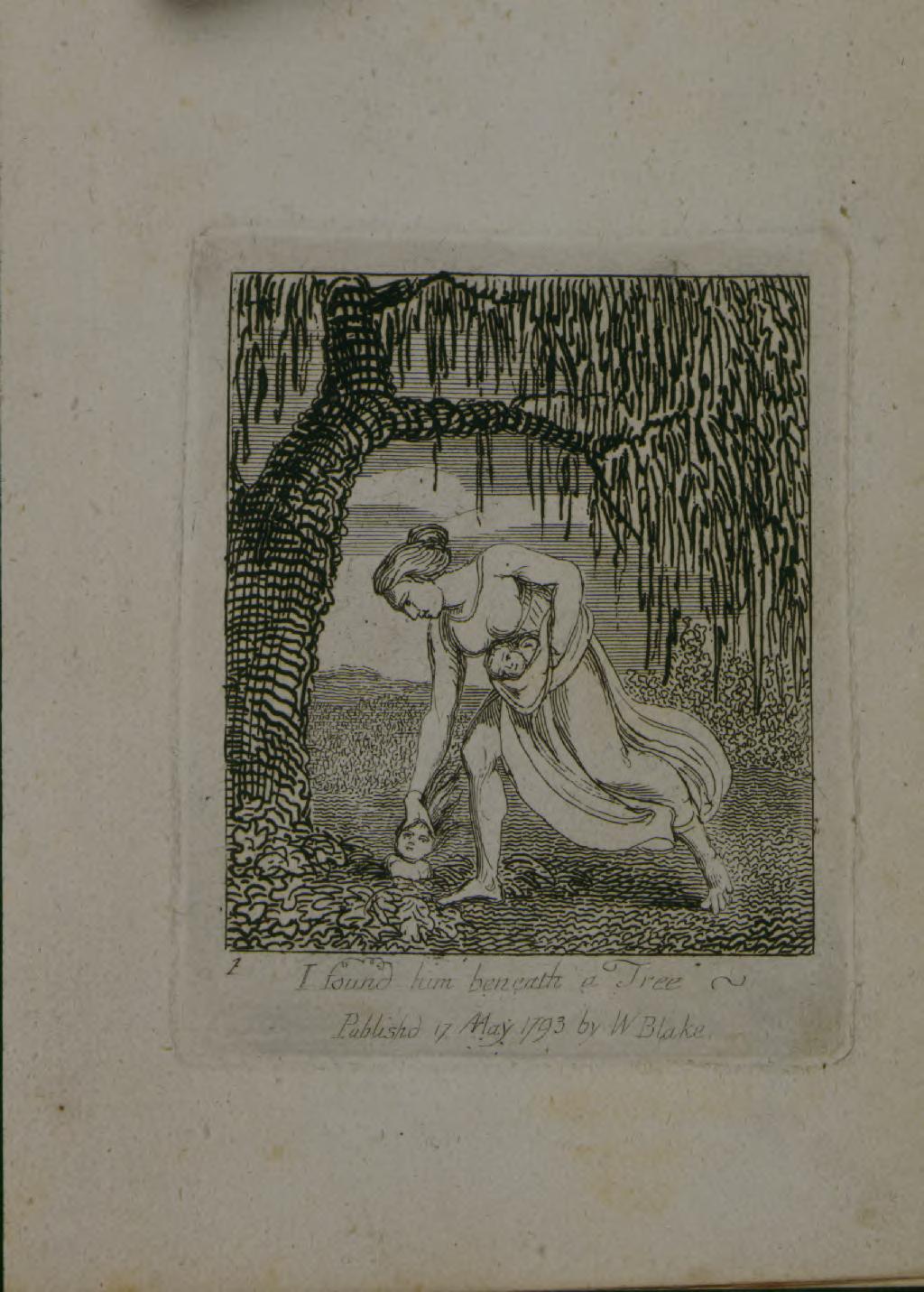 I Found Him Beneath A Tree cover