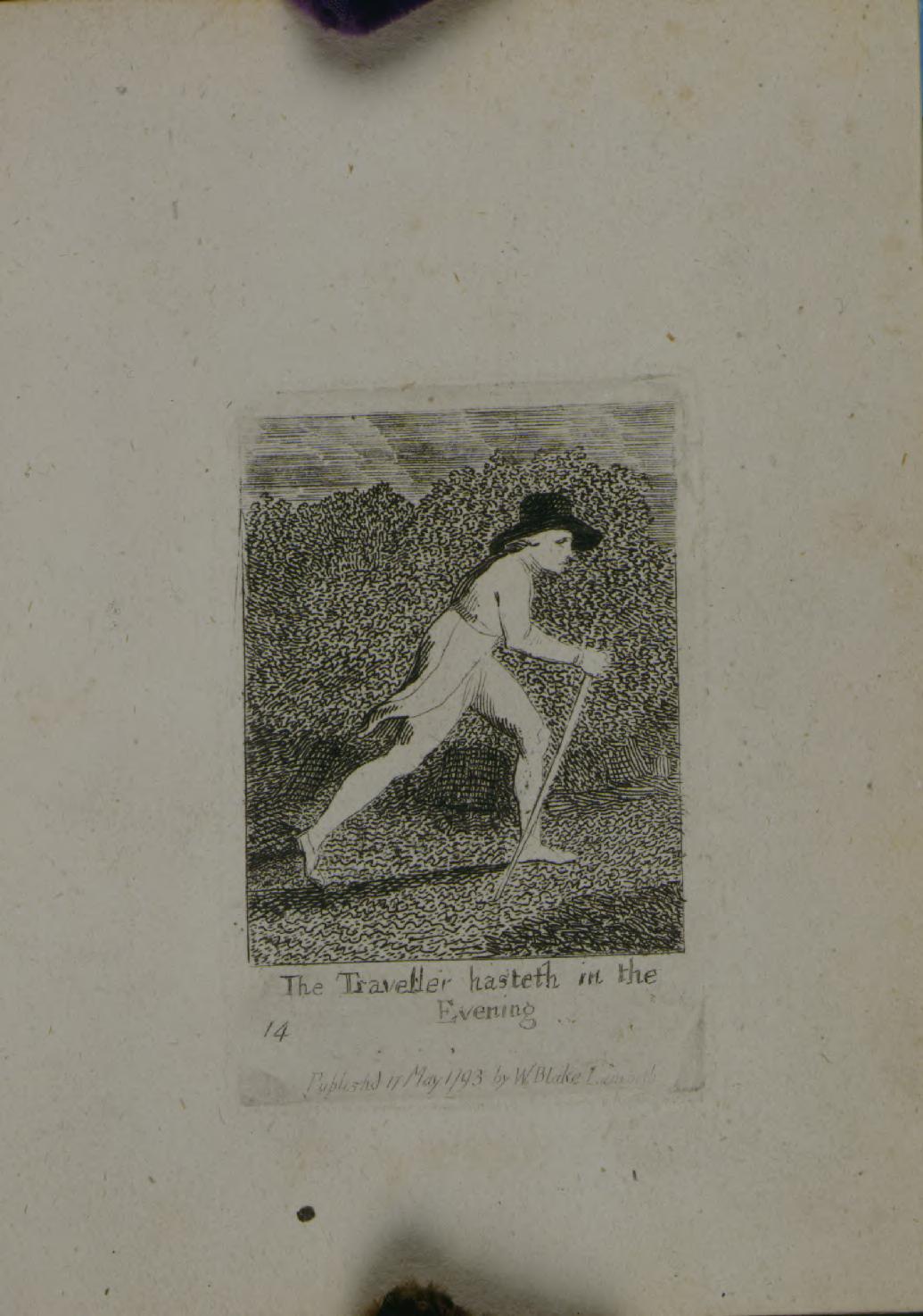 I Have Said To The Worm cover