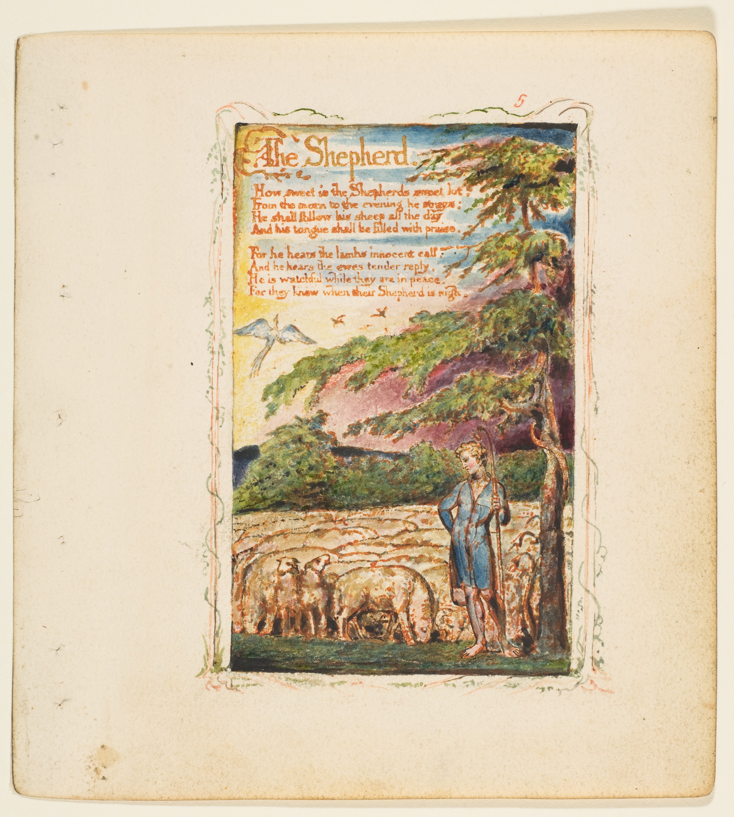 The Shepherd cover